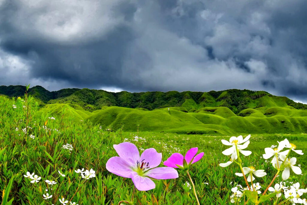 Tailor-Made Tours Nagaland