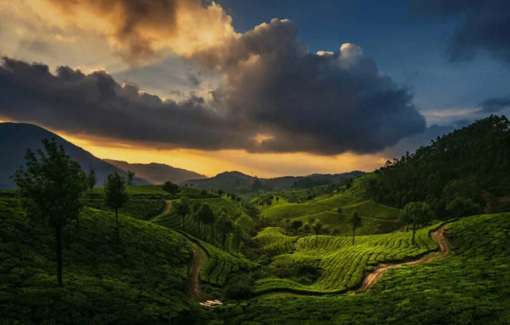 Bespoke travel experiences Tamil Nadu