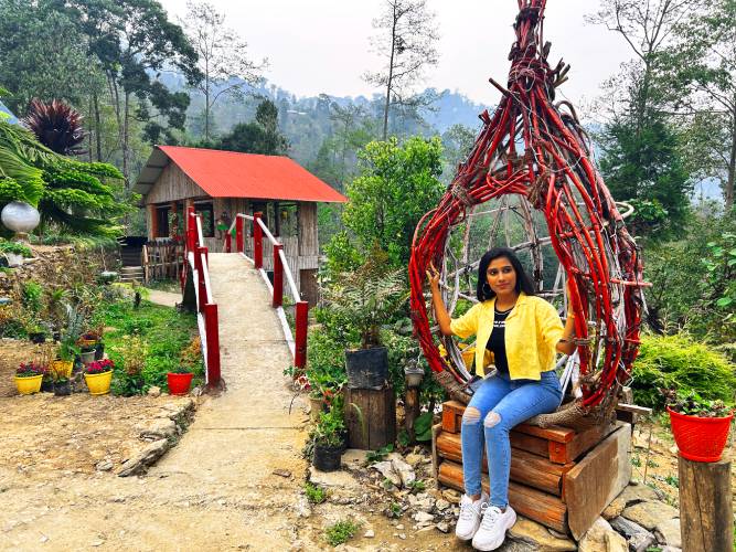 Tour Operator India