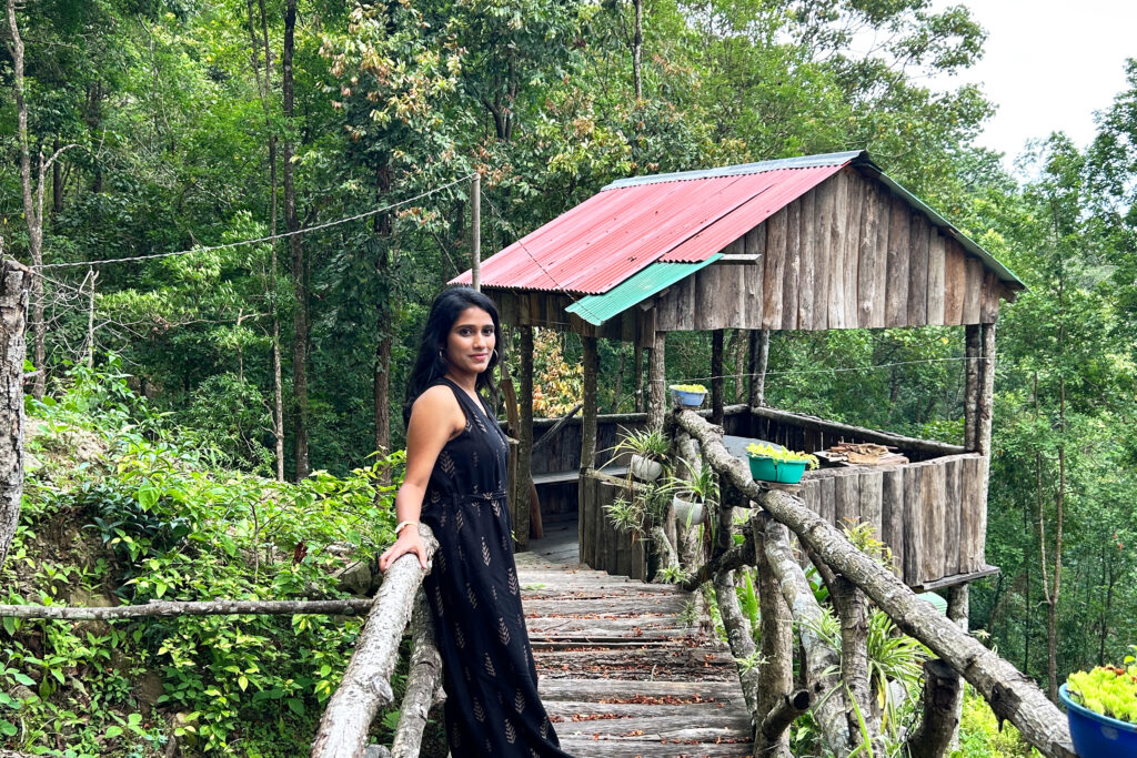 Darjeeling & Takdah Tour