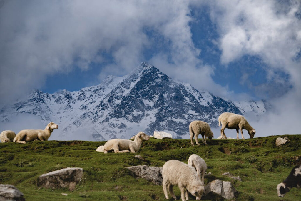 Unique Offbeat Destinations Himachal