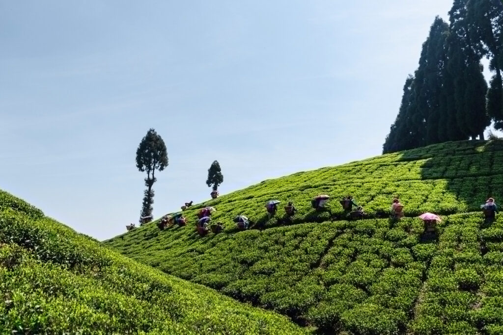 Travel Planner India