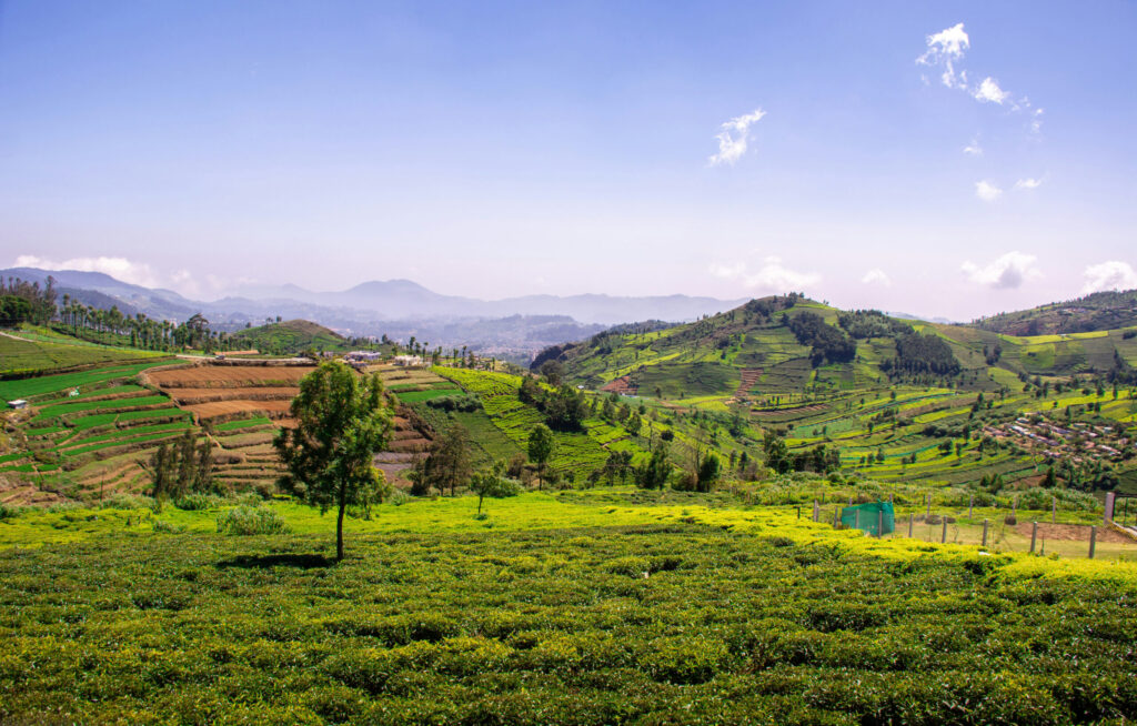 offbeat holiday packages Tamil Nadu