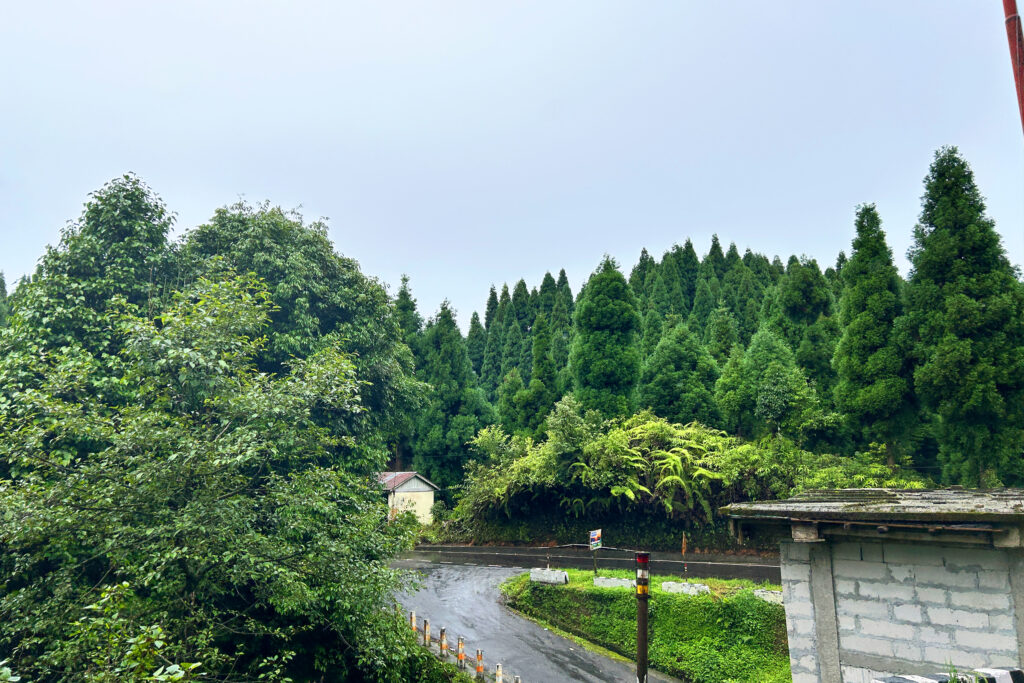 Takdah, Lamahatta & Sittong Tour