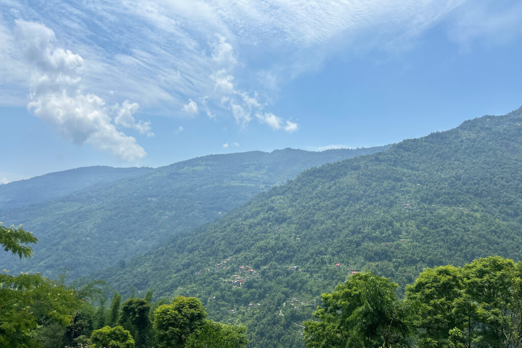 Takdah, Lamahatta & Sittong Tour