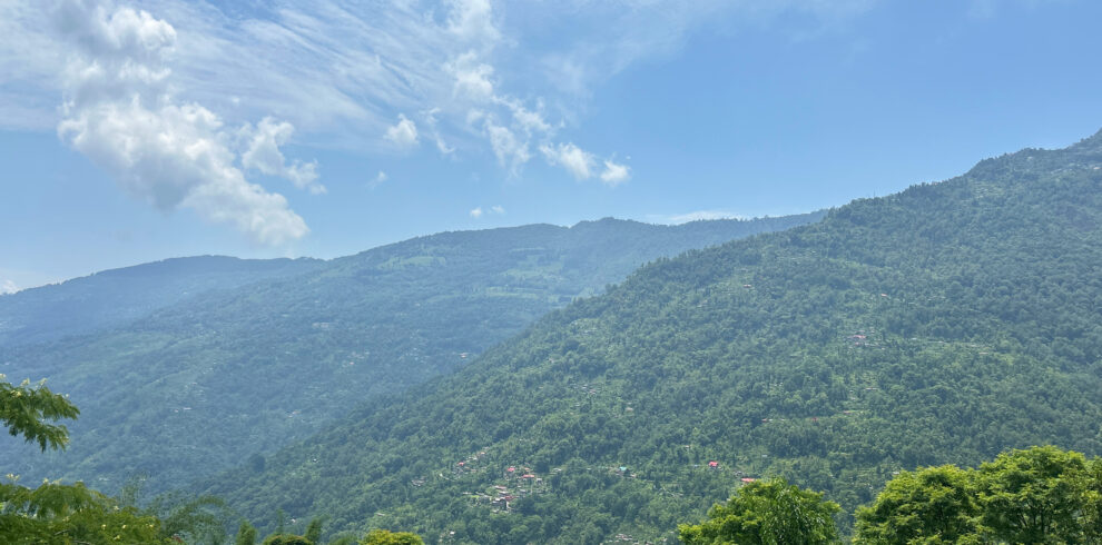 Takdah, Lamahatta & Sittong Tour