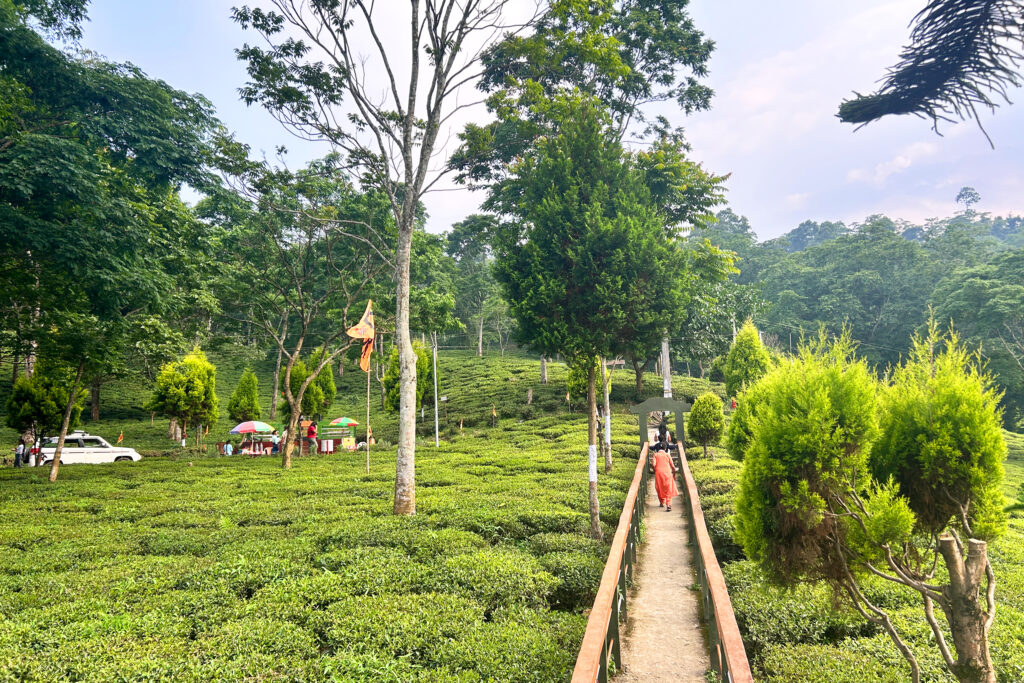 Darjeeling with Kurseong Tour