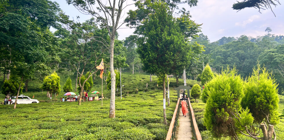 Darjeeling with Kurseong Tour