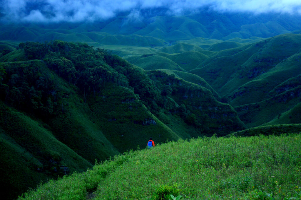 Bespoke Travel Experiences Nagaland