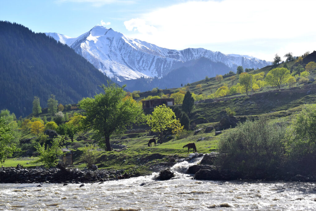 Bespoke-Holiday-Tours-Kashmir