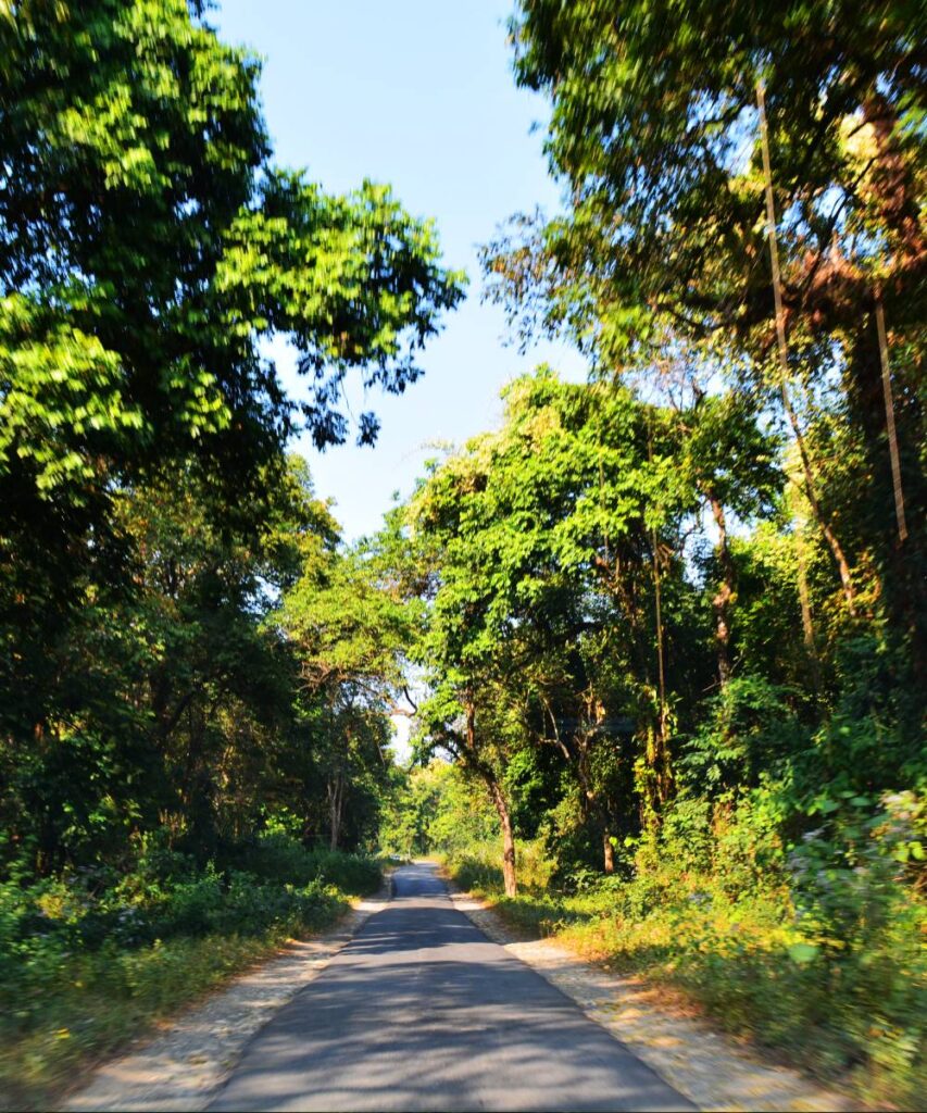 Discover Unique Travel Experiences West Bengal