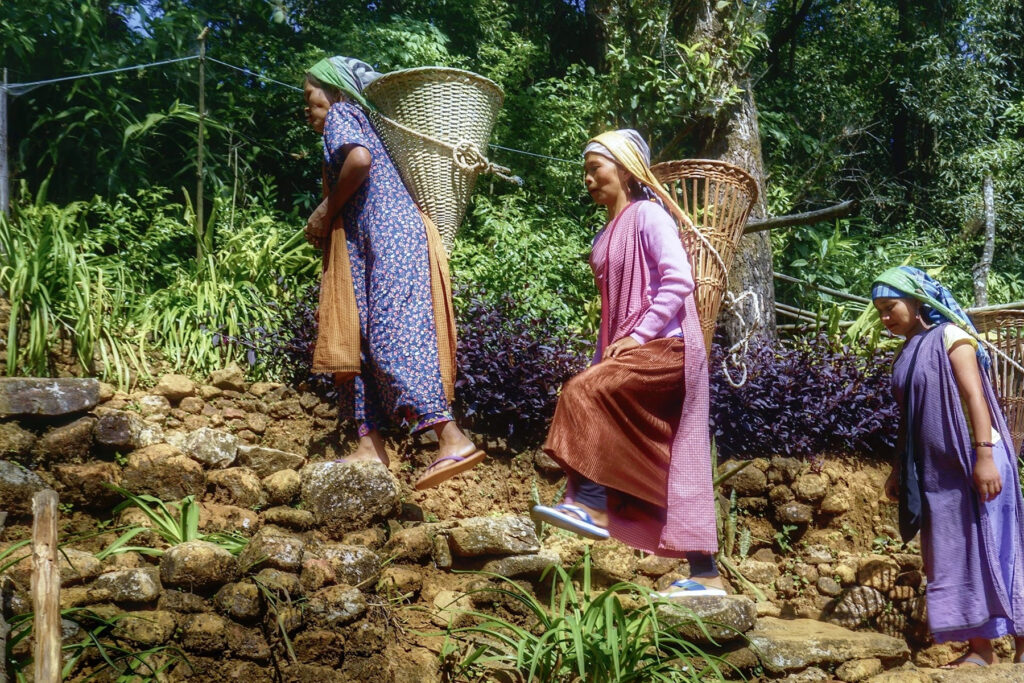 bespoke offbeat tours Meghalaya