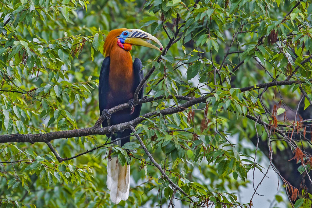 Tailor-Made Offbeat Holidays West Bengal