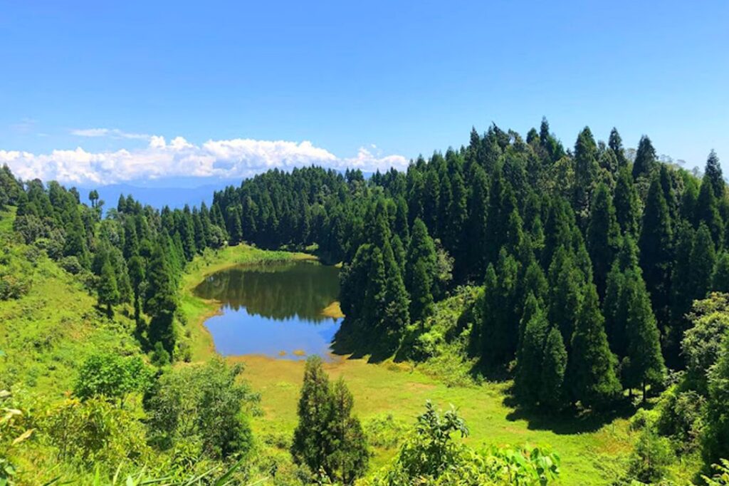 Sittong, Takdah & Gopaldhara Tour