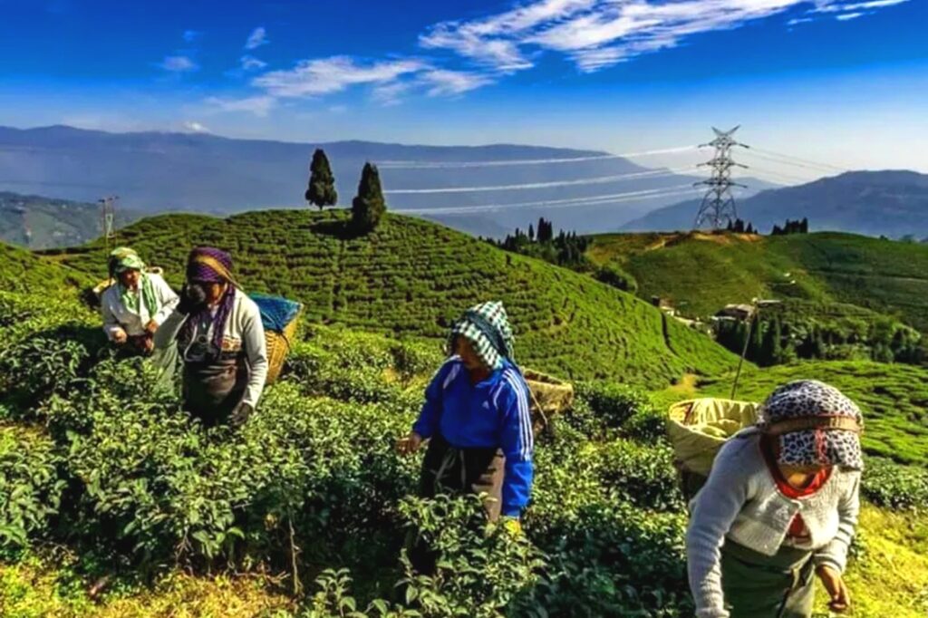 Darjeeling Tour with Tiger Hill & Mirik