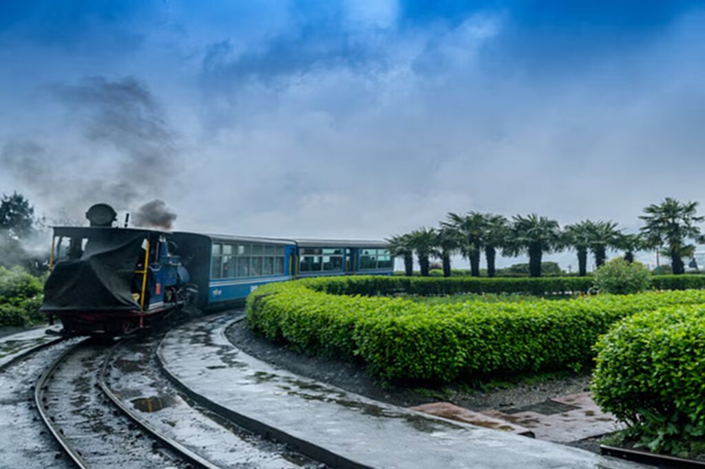 Darjeeling & Gopaldhara Tea Garden Getaway