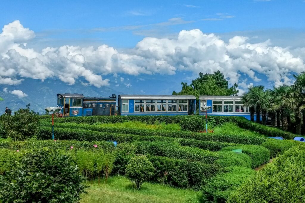 Darjeeling & Gopaldhara Tea Garden Getaway