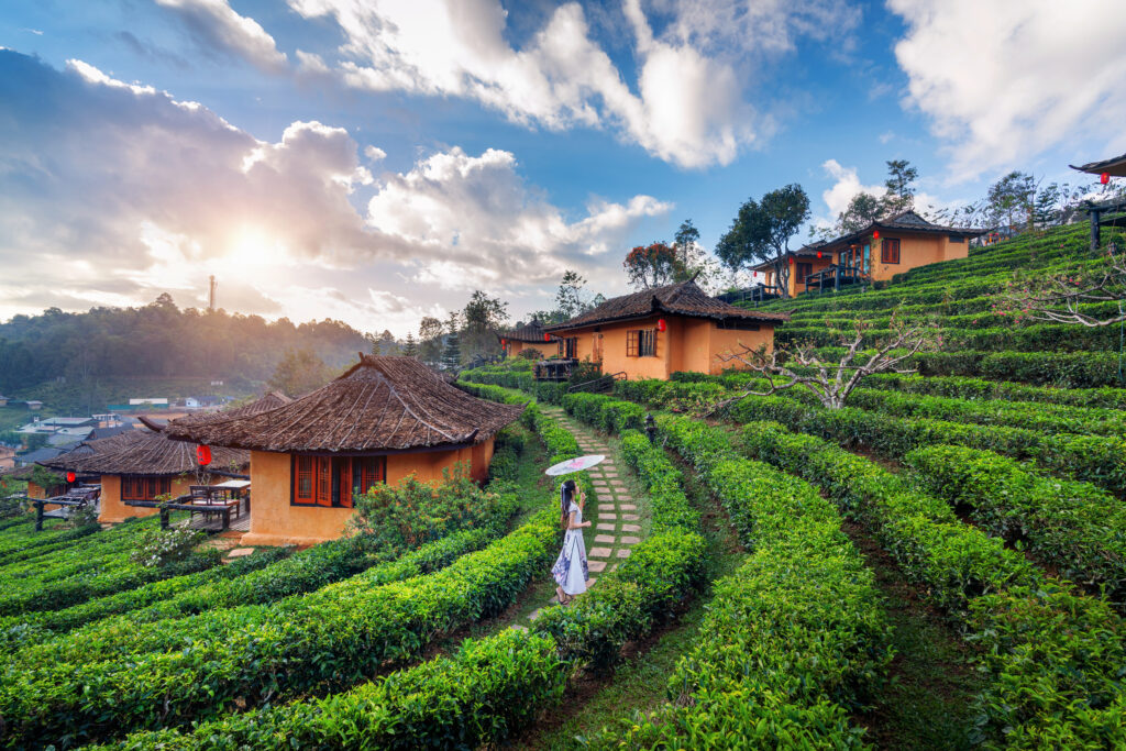 travel-agency-darjeeling