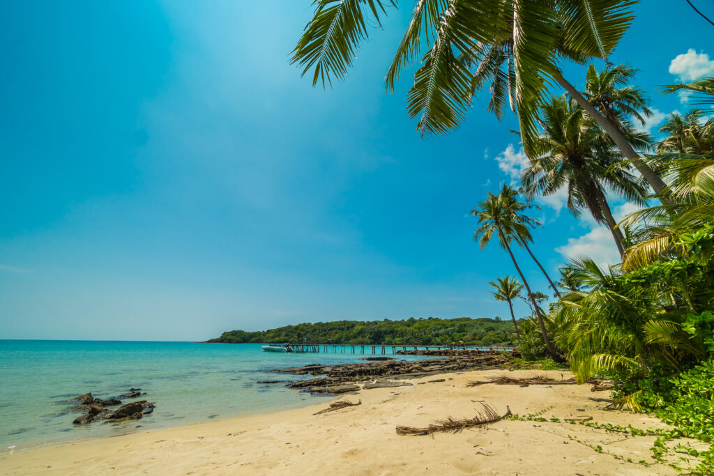 Bespoke Travel Experiences Goa