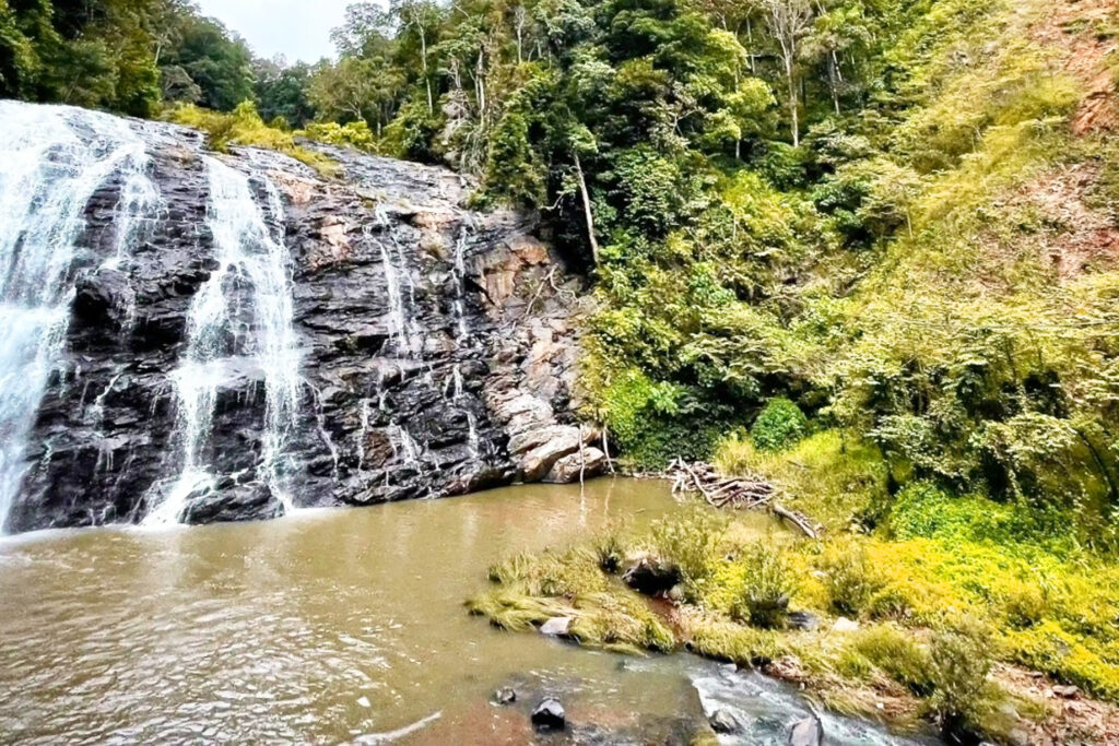 Coorg to Kodaikanal Tour