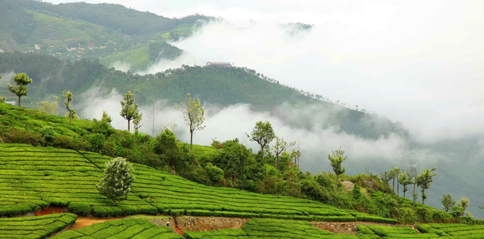Karnataka Tour - Chikmagalur, Coorg & Ooty 9 Days 8 Nights