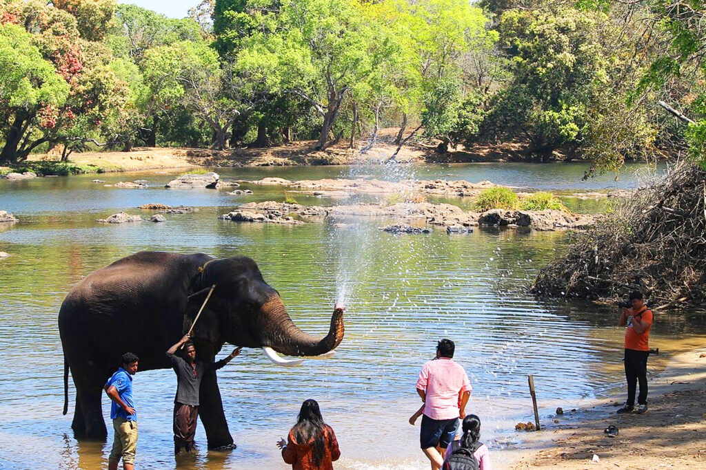 Karnataka Tour - Chikmagalur, Coorg & Ooty 9 Days 8 Nights