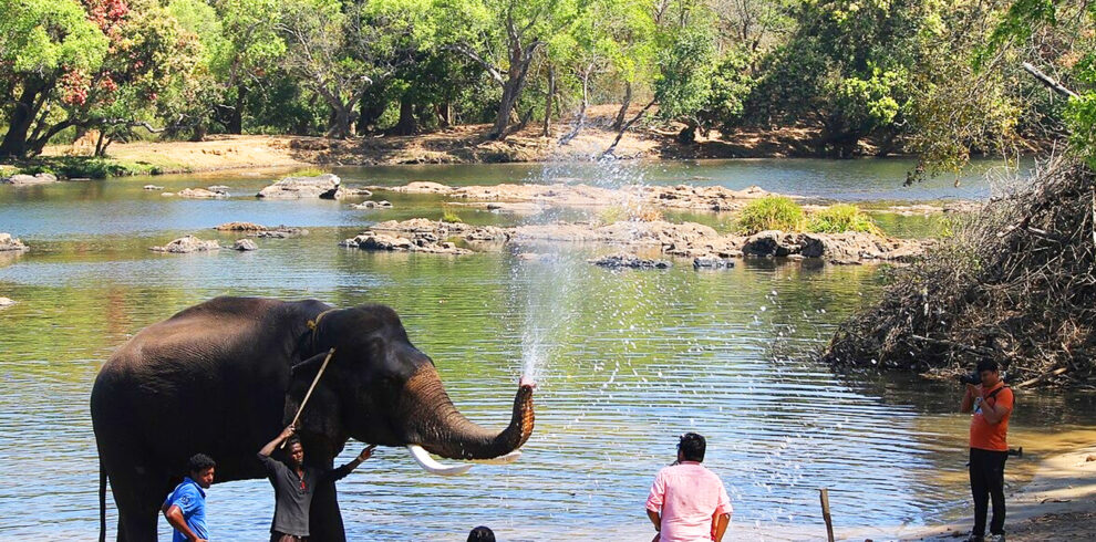 Coorg to Ooty Scenic Getaway