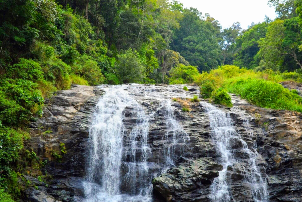 Coorg Mysore Ooty Tour
