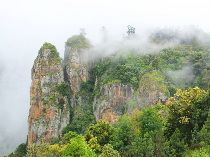 Coorg to Kodaikanal Delight Tour