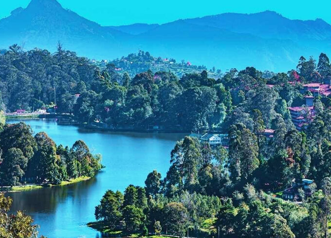 Coorg to Kodaikanal Delight Tour