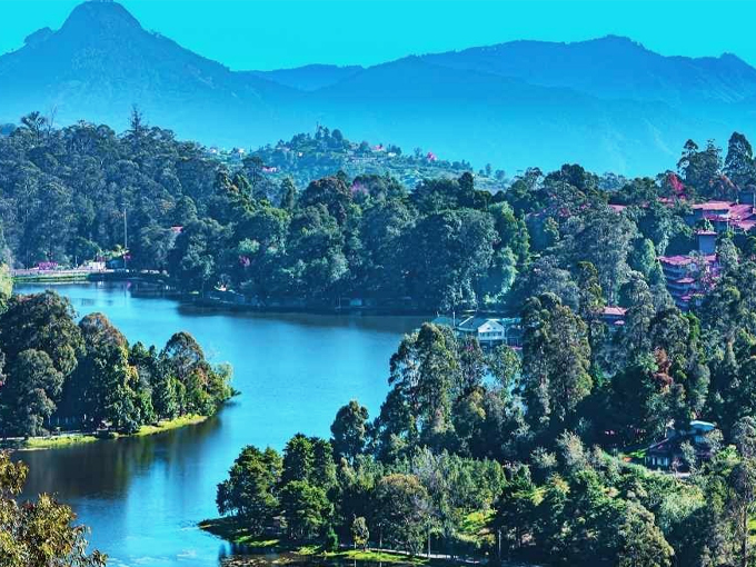 Coorg to Kodaikanal Delight Tour