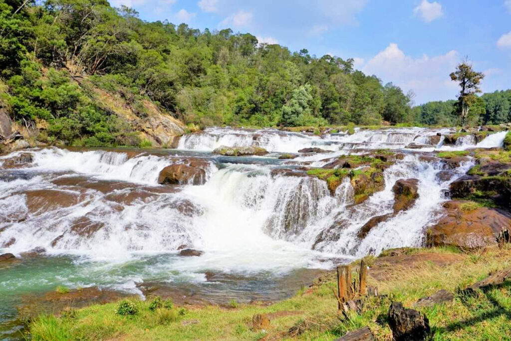 Karnataka Tour from Chikmagalur to Ooty