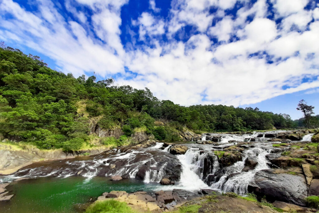 Coorg to Kodaikanal Delight Tour