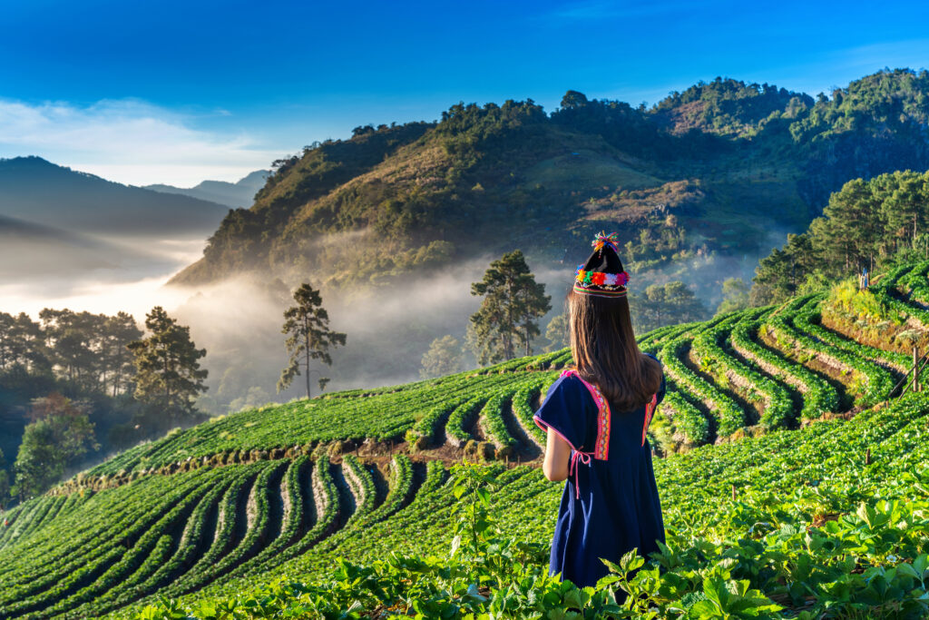 Darjeeling tour package