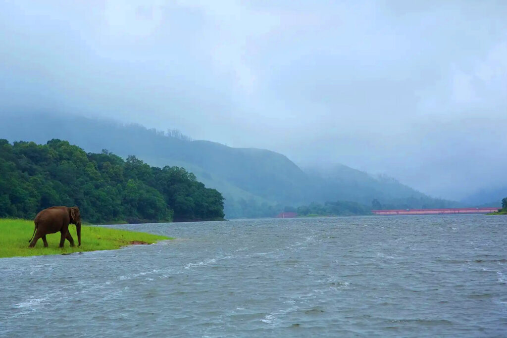 Kerala Customised Tour – Cochin to Thekkady