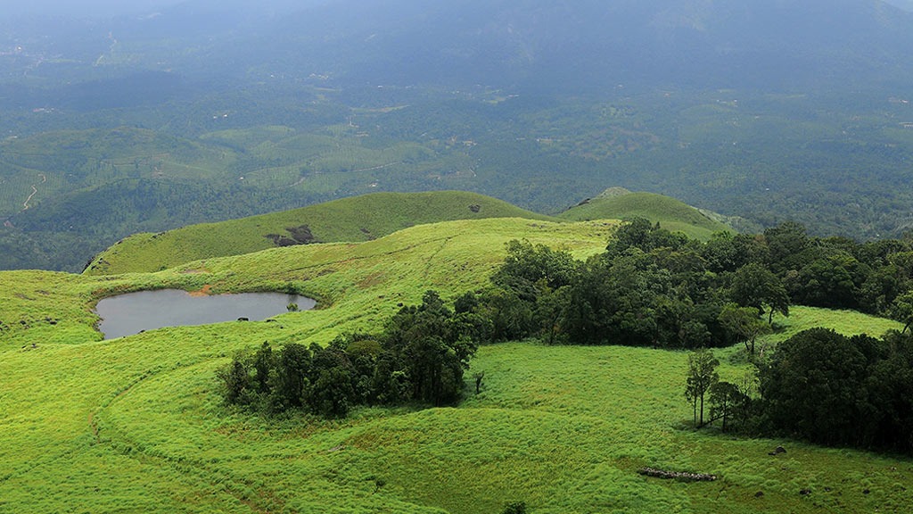 Coorg and Ooty 7 Days Tour
