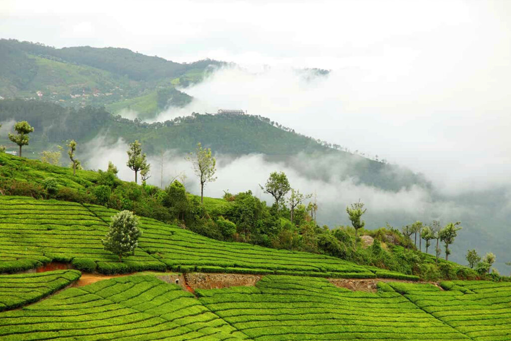 Coorg to Ooty Romantic Hill Tour