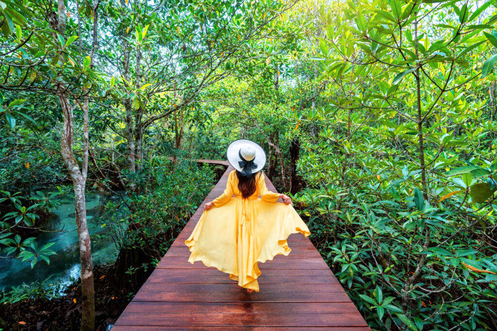 Best Kerala 8-Day Itinerary – Munnar to Kovalam Tour