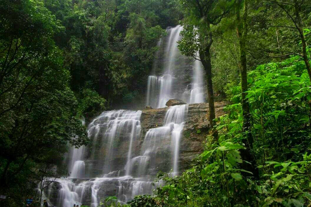 Best Kerala 8-Day Itinerary – Munnar to Kovalam Tour