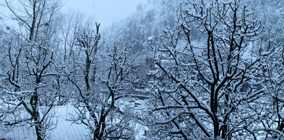 9 Days Himachal Tour Package