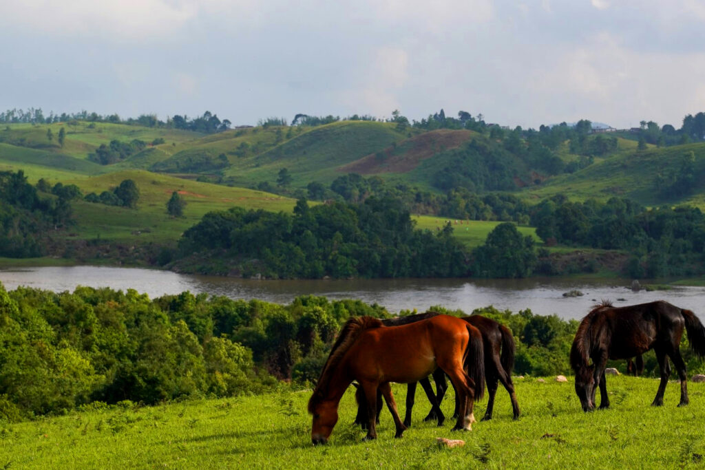 Meghalaya Tour 7 Days 6 Nights