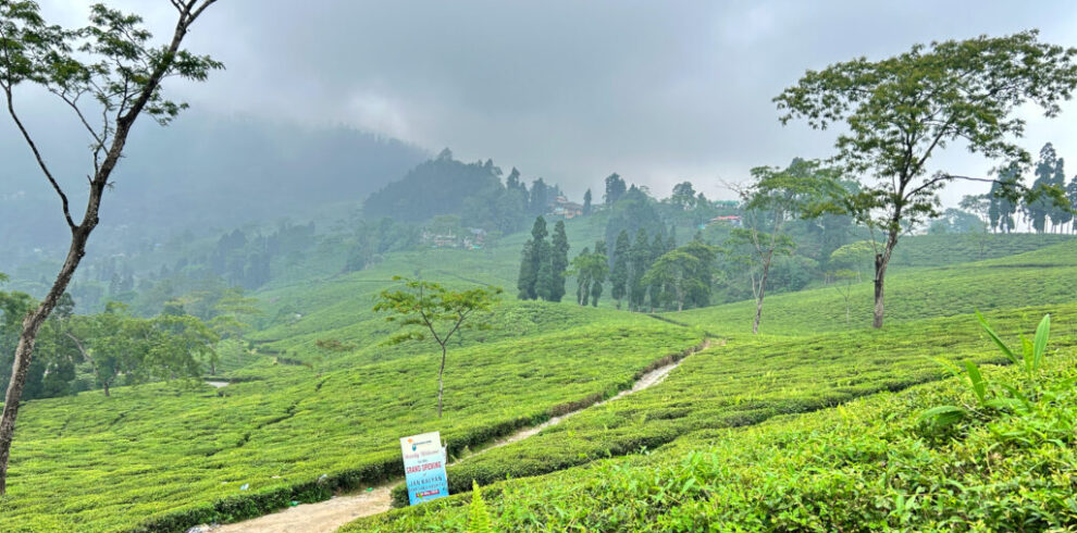 Kalimpong tour package