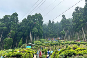 North Bengal private tour packages