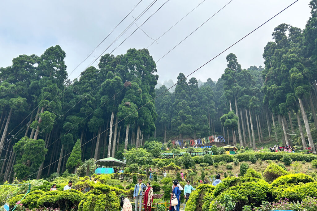 North Bengal private tour packages