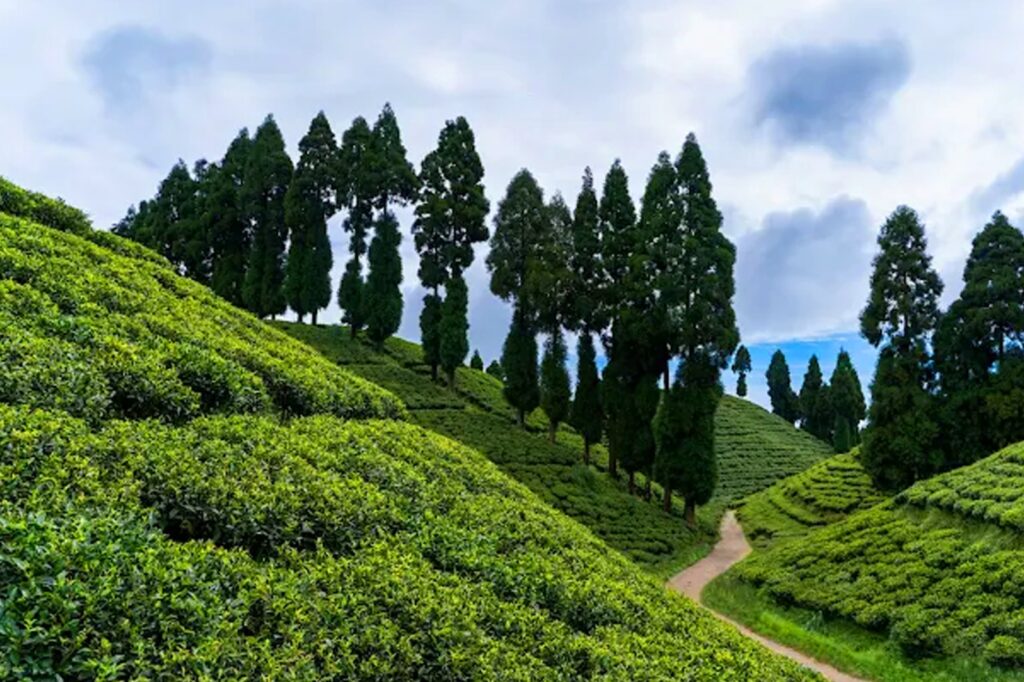 Kalimpong Local Sightseeing Tour