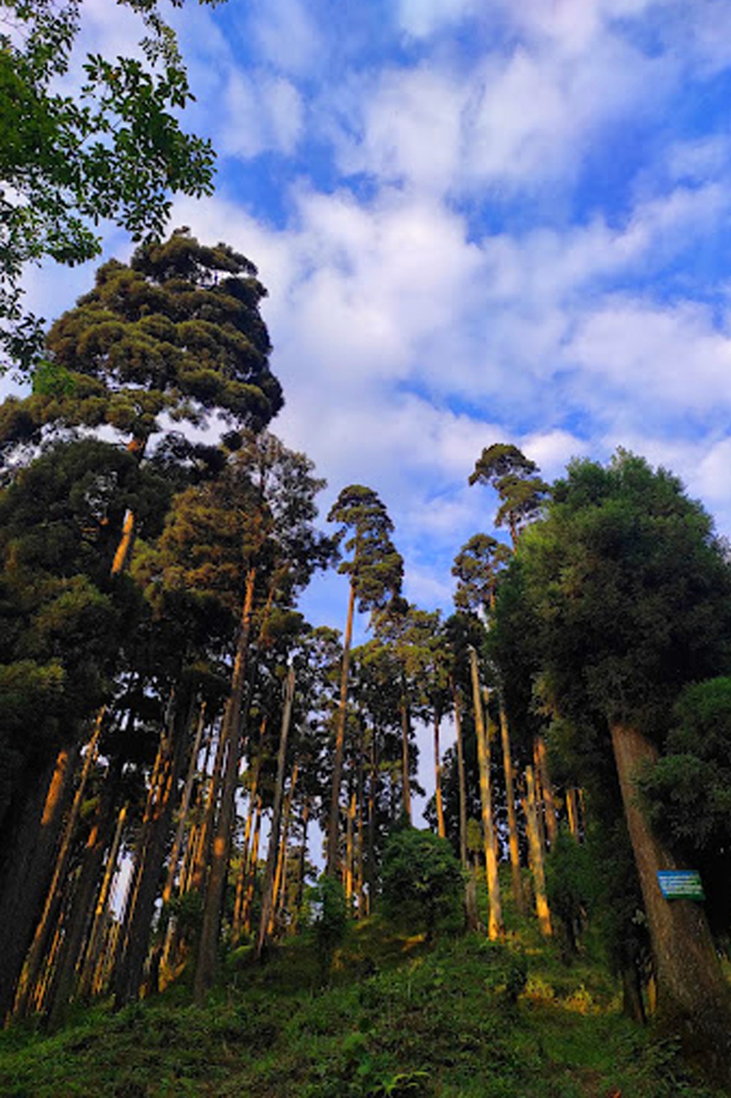 e9213ccb-6d7c-4039-9c44-708954b5625c