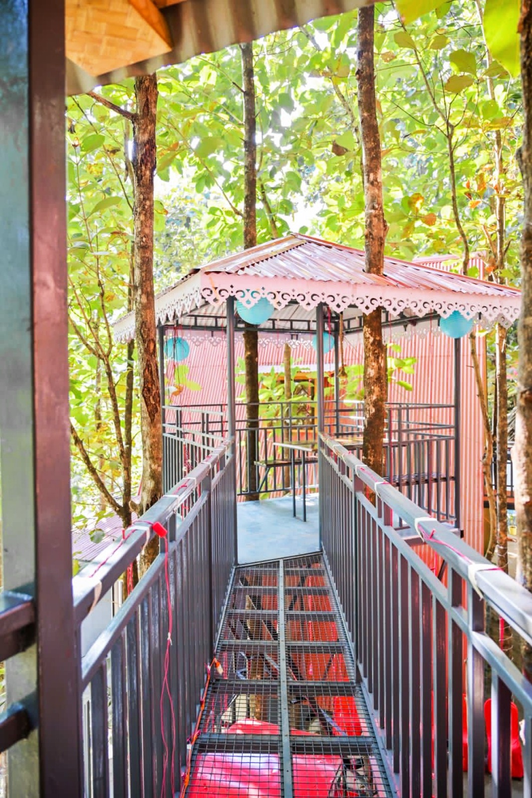 21c02374-9c2c-4ef1-a0c9-921365528a89