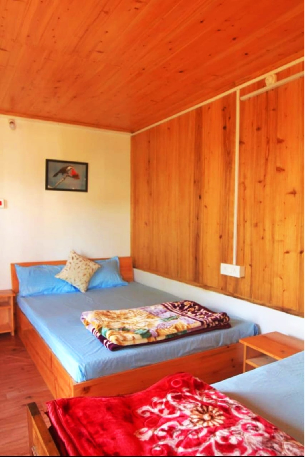 21c11316-307b-4402-97da-22b39e9ec96d