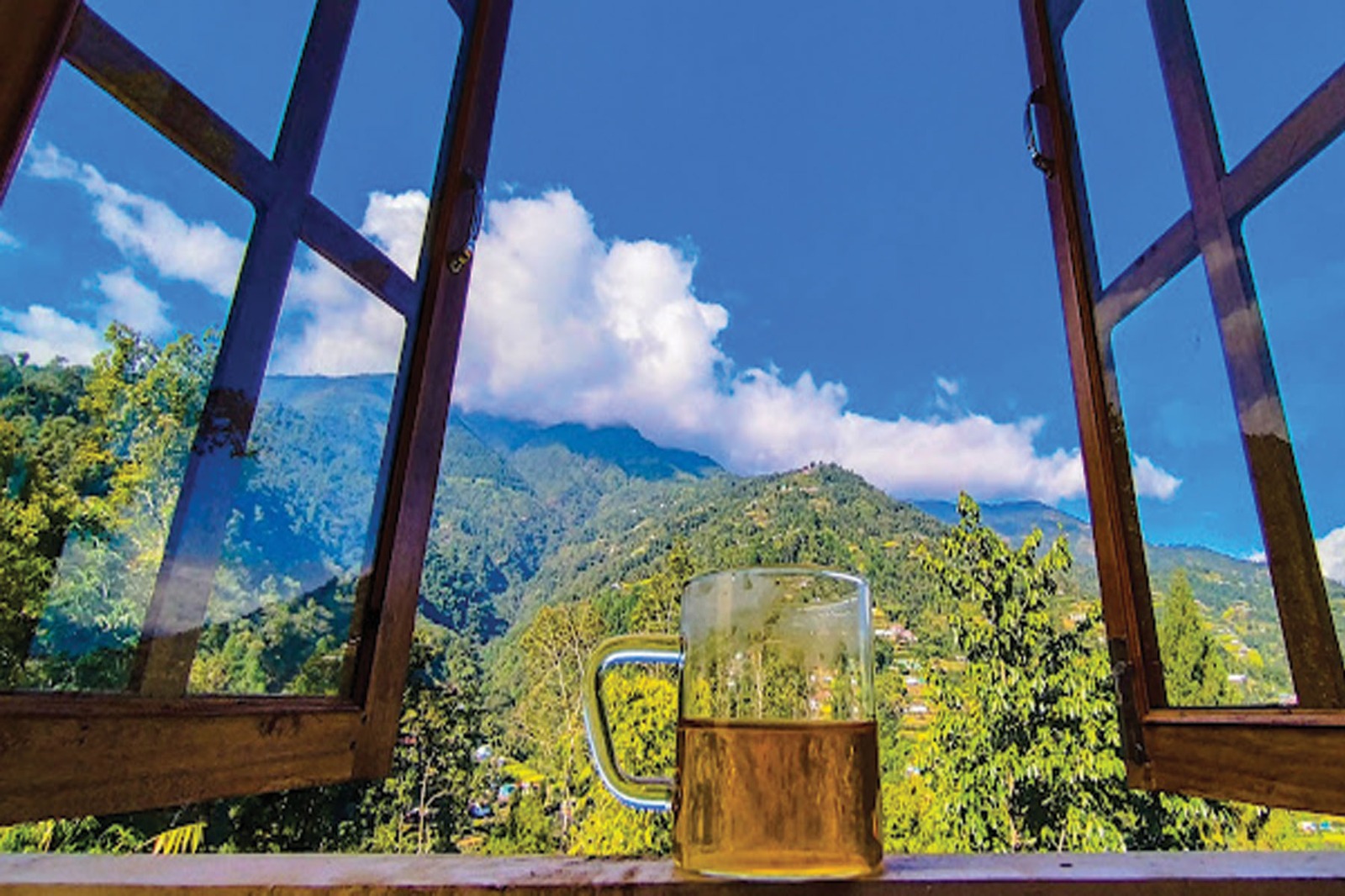 322259b0-a037-4dae-9315-d430f2fecee6