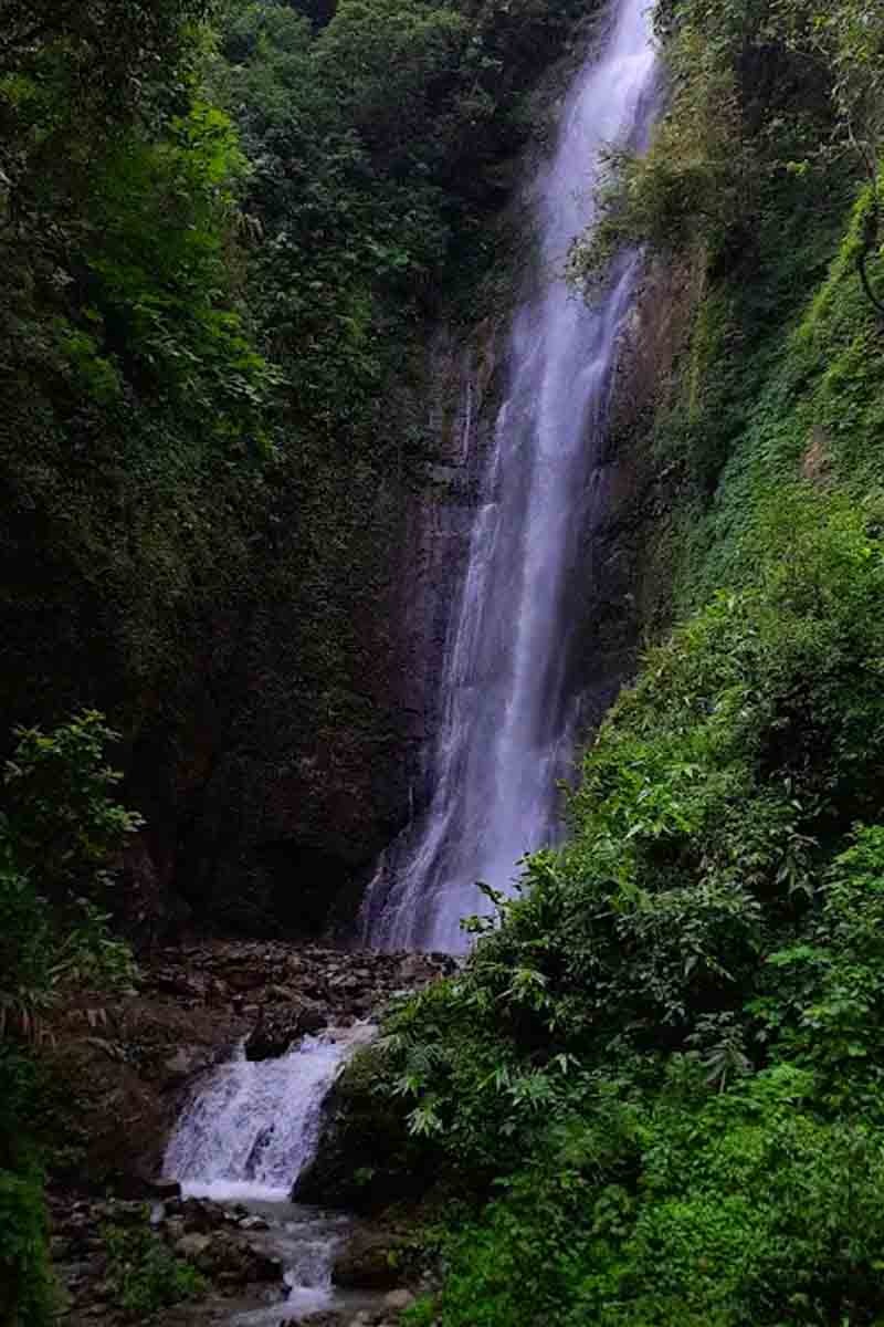 4605fde5-fddf-477b-8118-344a3ae4f2cd